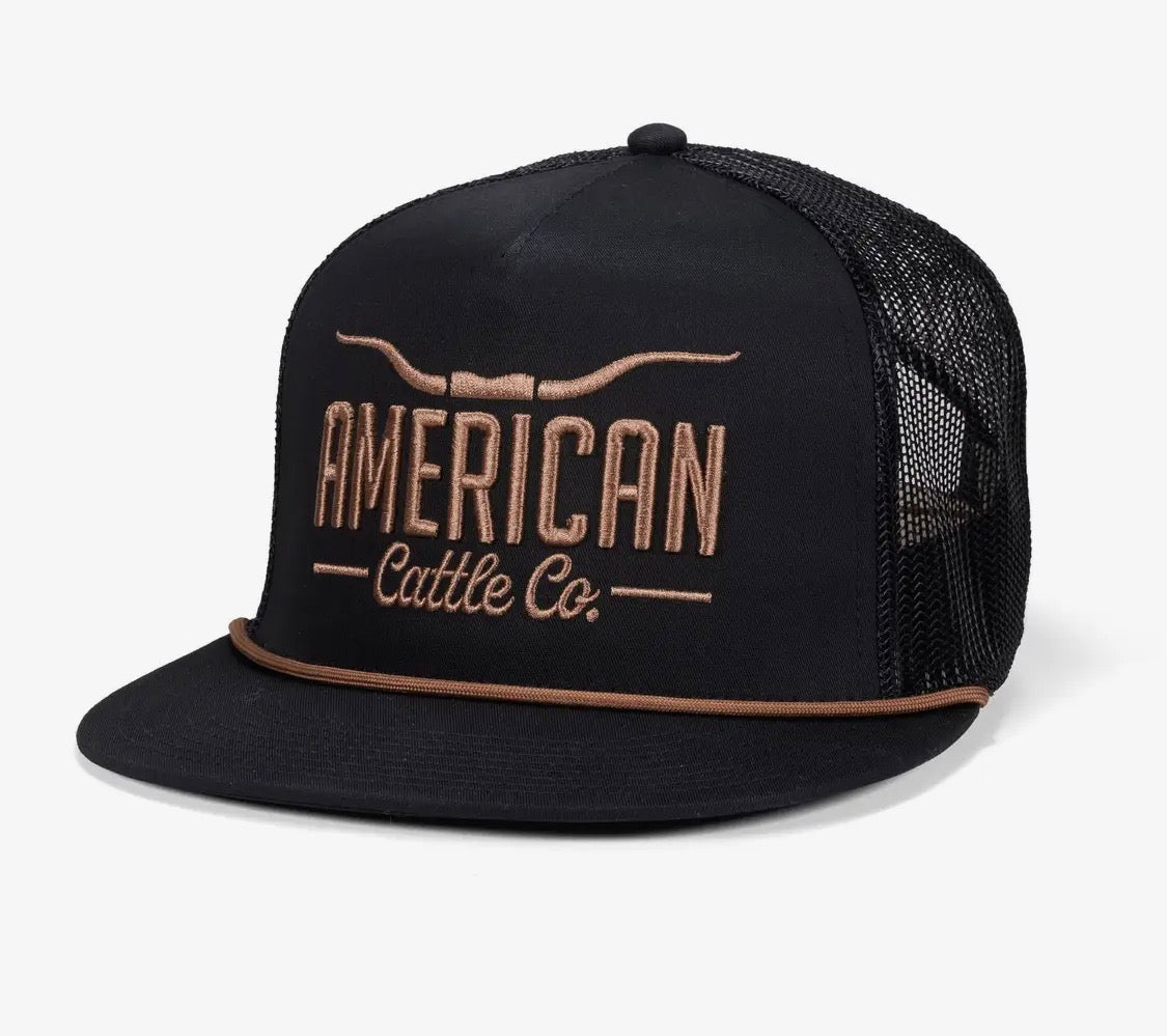 Longhorn Hat Black and Gold